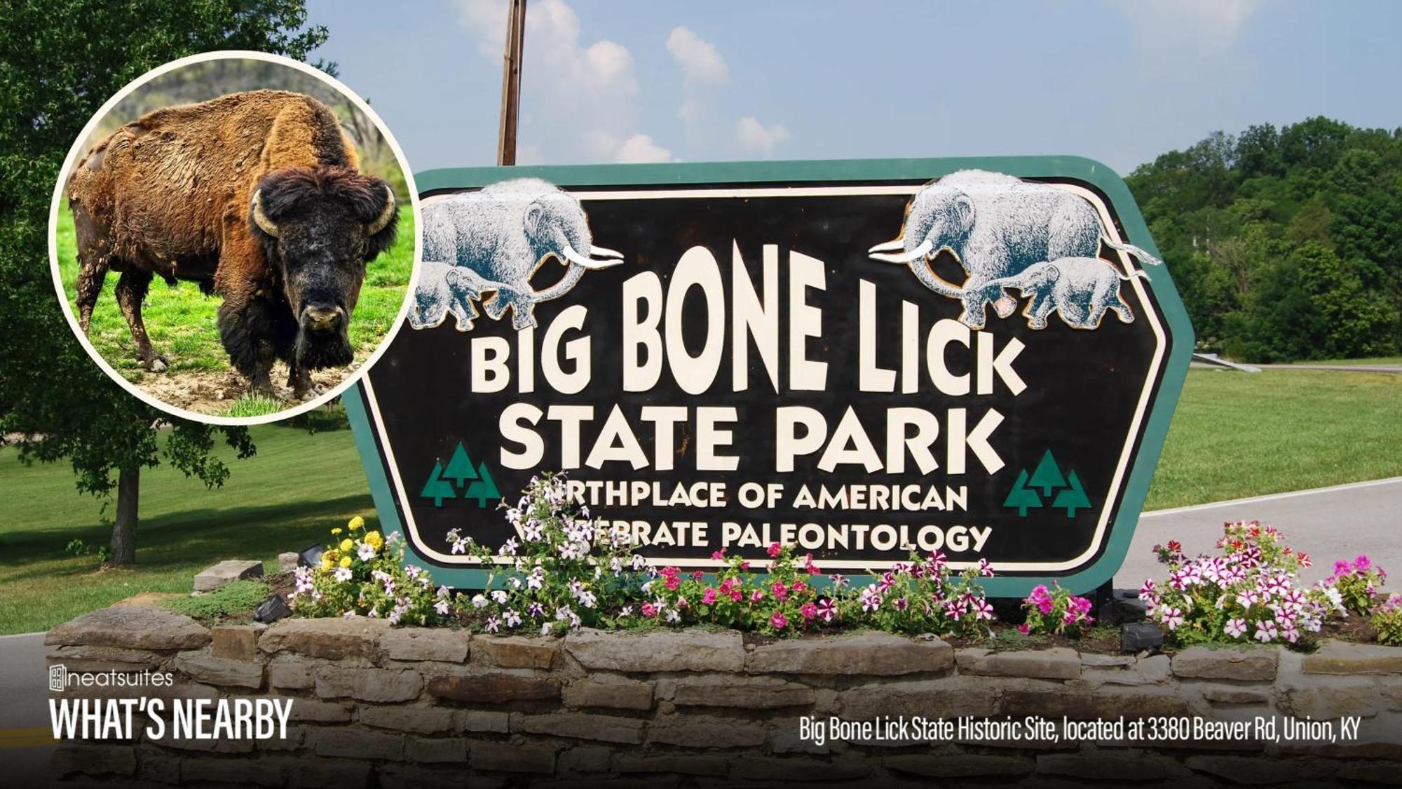 The Lodges At Eden Reserve - Pet Friendly Cabins Near Ark Уильямстаун Экстерьер фото